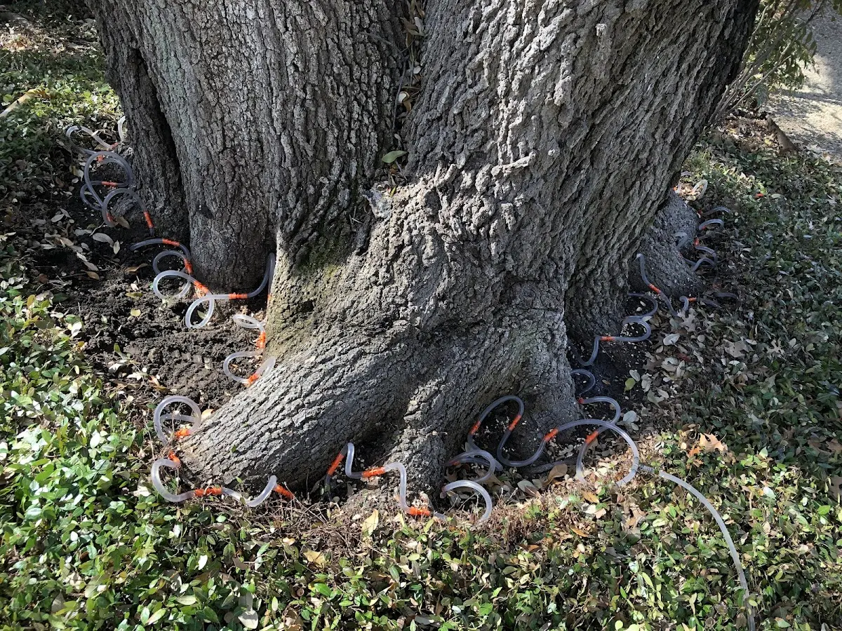 Detailed Shrub and Hedge Trimming job site in Sawyer